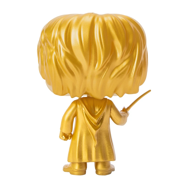 Funko Pop!® Harry Potter™ Vinyl Figure