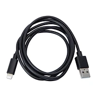 Ezena™ Lighting® To USB-A Cable 48in