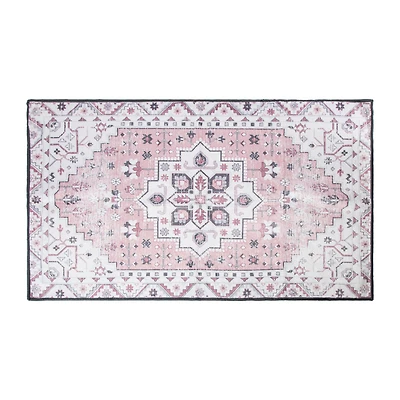 Washable Rug 30in x 50in