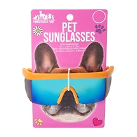 Pet Visor Sunglasses