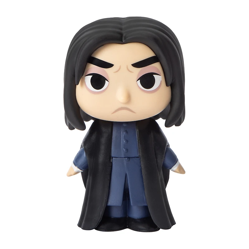 Harry Potter™ Mystery Minis Vinyl Figure