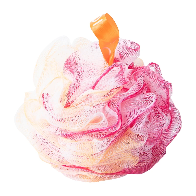 Cleanlogic® Tie Dye Mesh Sponge (Styles May Vary)