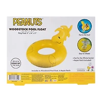 Peanuts® Woodstock Pool Float Set