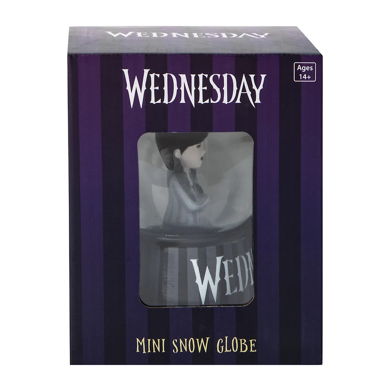 Wednesday Mini Snow Globe