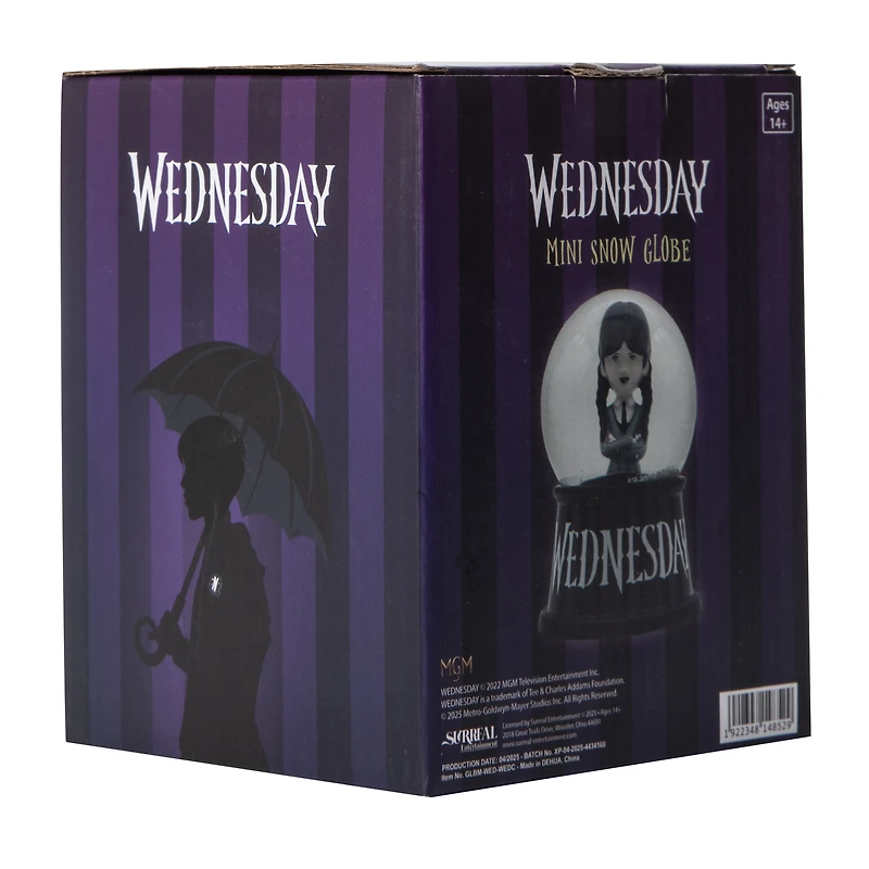 Wednesday Mini Snow Globe