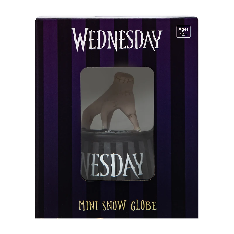 Wednesday Mini Snow Globe