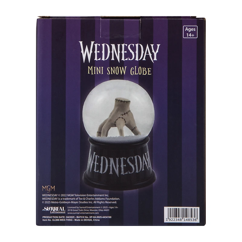 Wednesday Mini Snow Globe