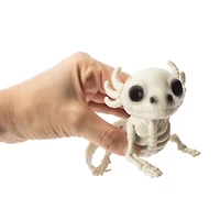 Halloween Axolotl Skeleton