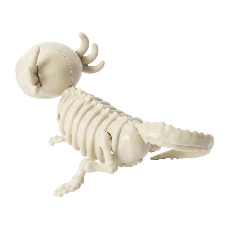 Halloween Axolotl Skeleton