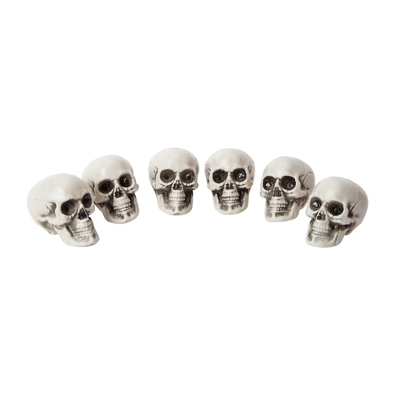 Halloween Decorative Skulls 6-Pack