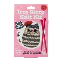 Itty Bitty Knit Kit Fall Set