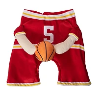 Halloween Basketball Player Pet Costume