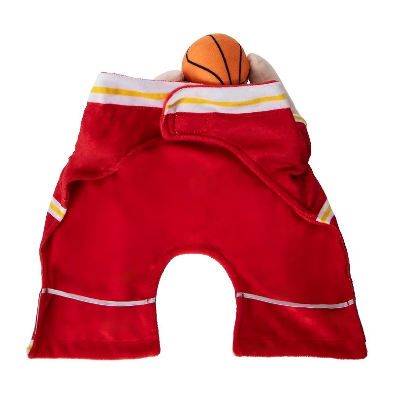 Halloween Basketball Player Pet Costume