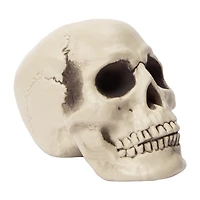 Halloween Skull Décor