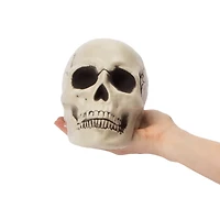 Halloween Skull Décor