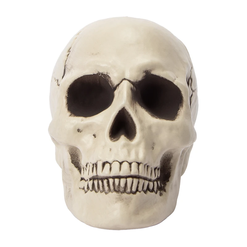 Halloween Skull Décor