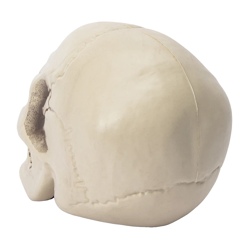 Halloween Skull Décor