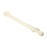 Halloween Leg Bone Décor