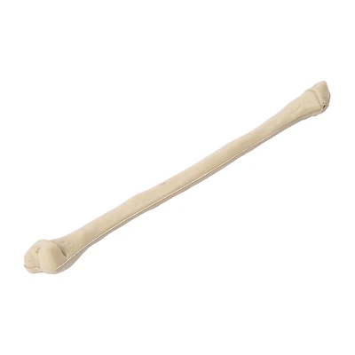 Halloween Arm Bone Décor