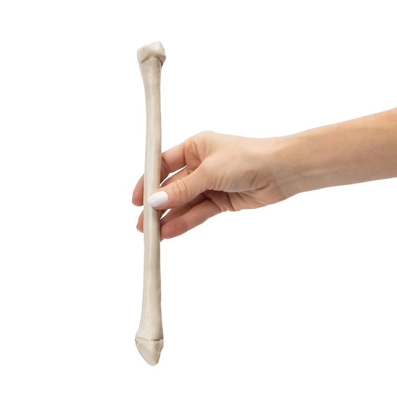 Halloween Arm Bone Décor