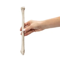 Halloween Arm Bone Décor