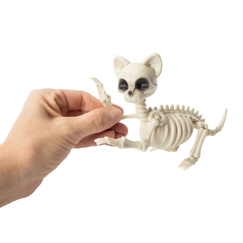 Halloween Cat Skeleton