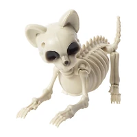 Halloween Cat Skeleton