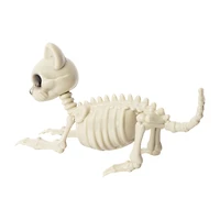 Halloween Cat Skeleton
