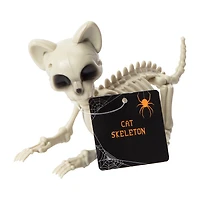 Halloween Cat Skeleton