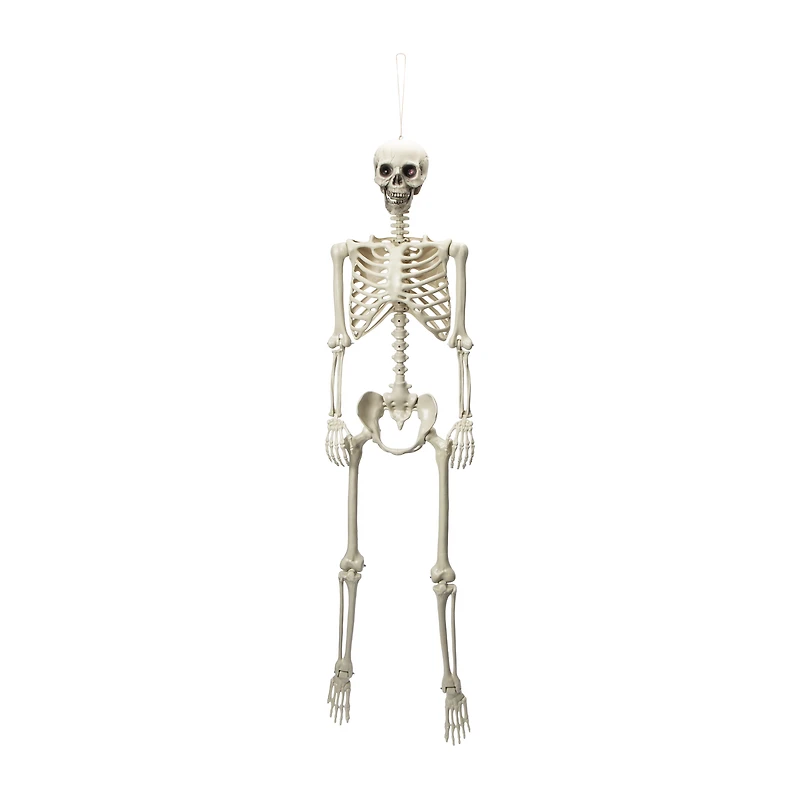 Halloween Light-Up Skeleton