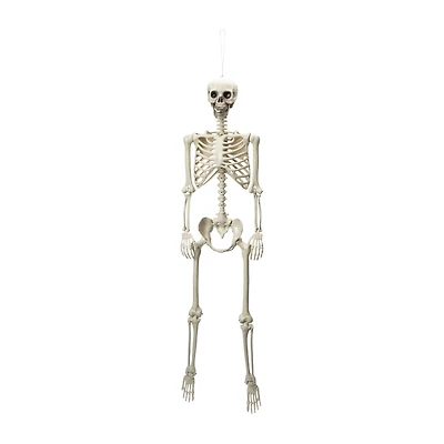 Halloween Light-Up Skeleton