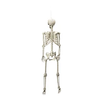 Halloween Light-Up Skeleton