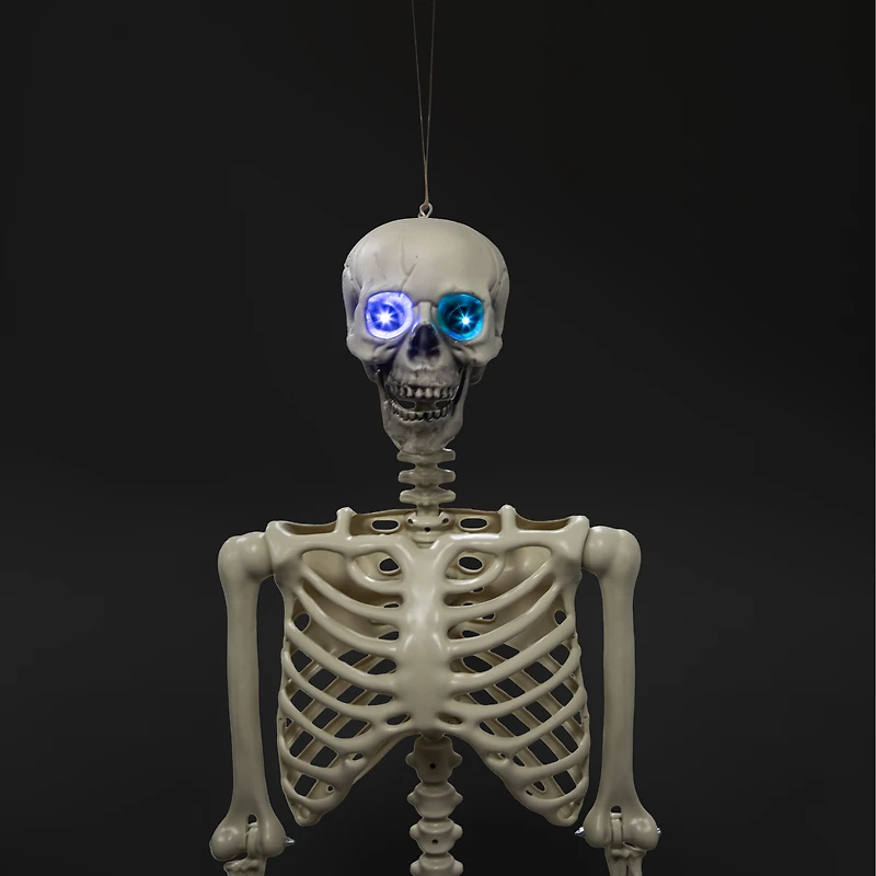 Halloween Light-Up Skeleton