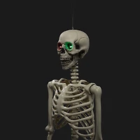 Halloween Light-Up Skeleton