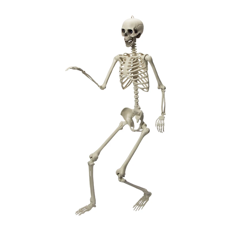 Halloween Light-Up Skeleton