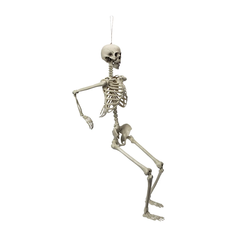 Halloween Light-Up Skeleton