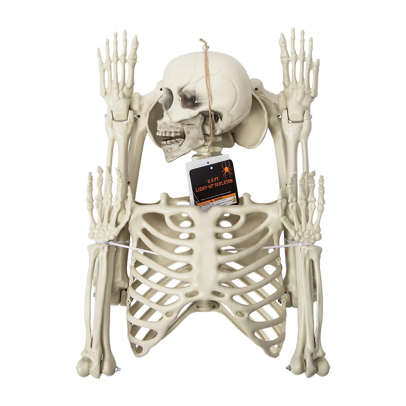 Halloween Light-Up Skeleton