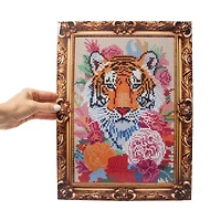 Diamond Painting Set