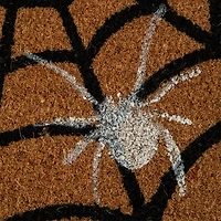 Web Themed Coir Mat
