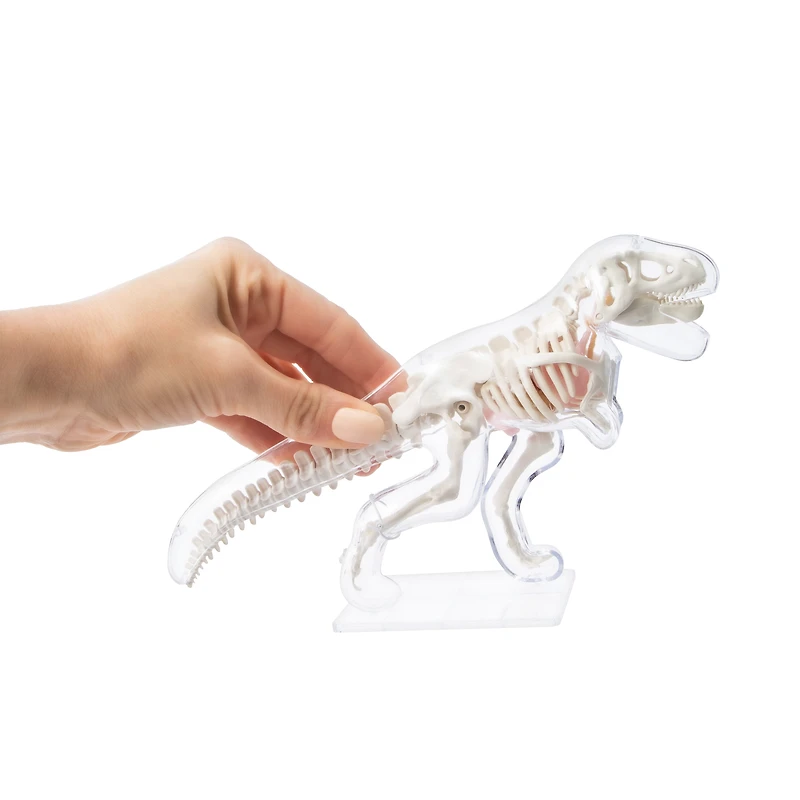 Unbelievable Science Awesome Anatomies Kit