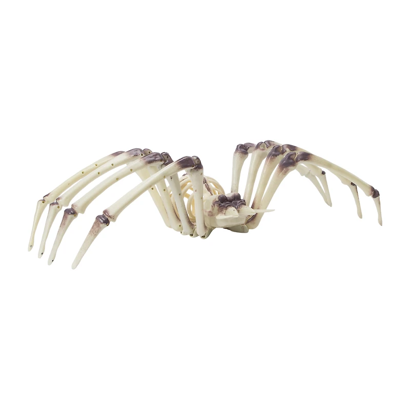 Halloween XL Skeleton Spider