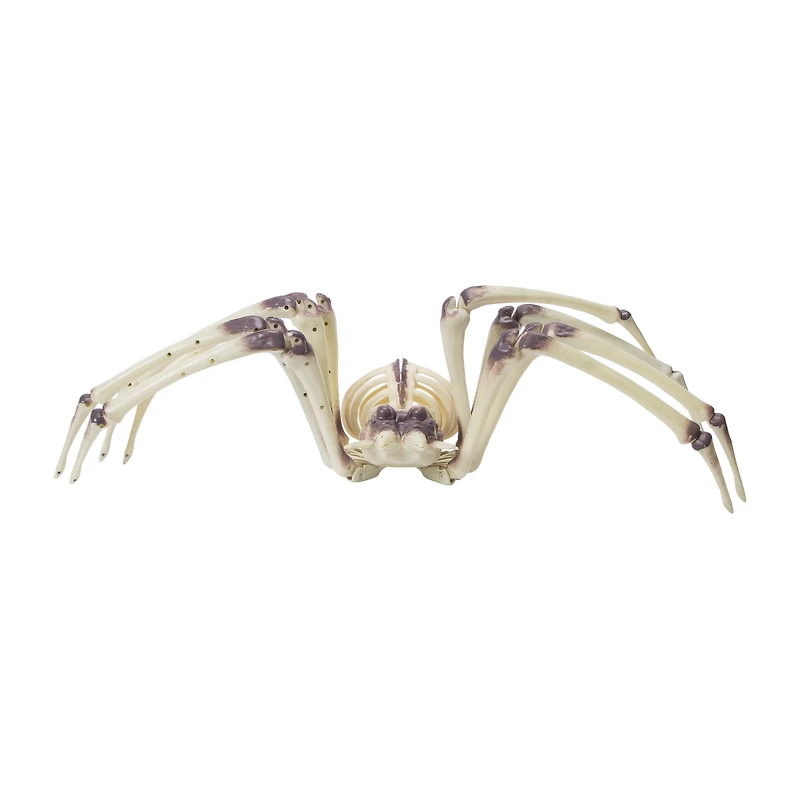 Halloween XL Skeleton Spider