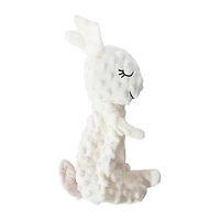 Plush Dog Toy With Squeaker