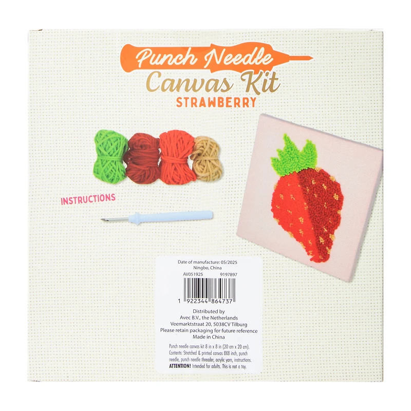 Punch Needle Strawberry Canvas Kit