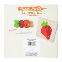 Punch Needle Strawberry Canvas Kit
