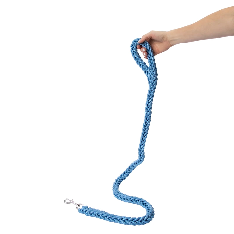 Braided Dog Leash