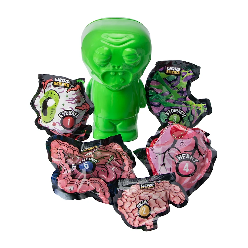 Weird Science Zombie Anatomy Set