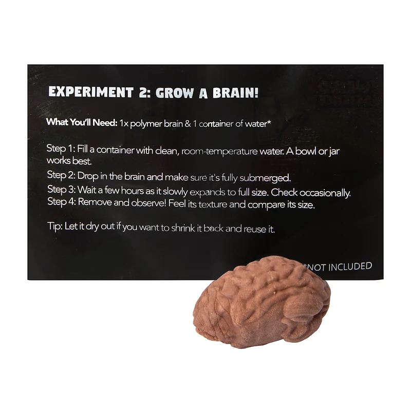 Weird Science Zombie Anatomy Set