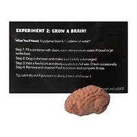 Weird Science Zombie Anatomy Set