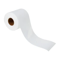 Tough To Tear Toilet Tissue Prank Toy Set